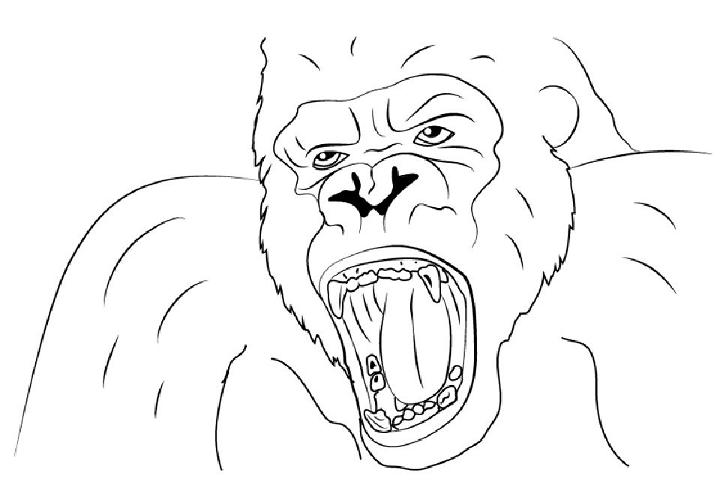Easy King Kong Face Drawing