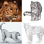 25 Easy Leopard Drawing Ideas - How to Draw