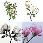25 Magnolia Flower Drawing Ideas - Draw Magnolia Flower