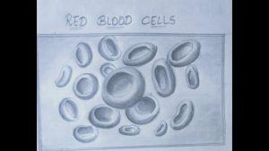 20 Easy Cell Drawing Ideas - How to Draw a Cell