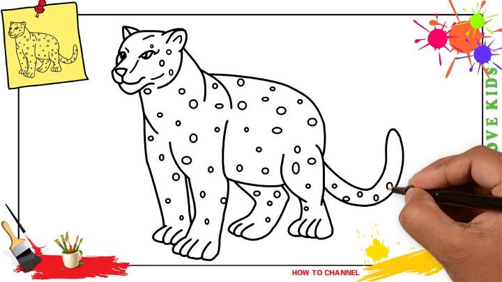 snow leopard drawings for kids