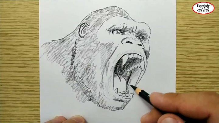 Easy Way to Draw King Kong
