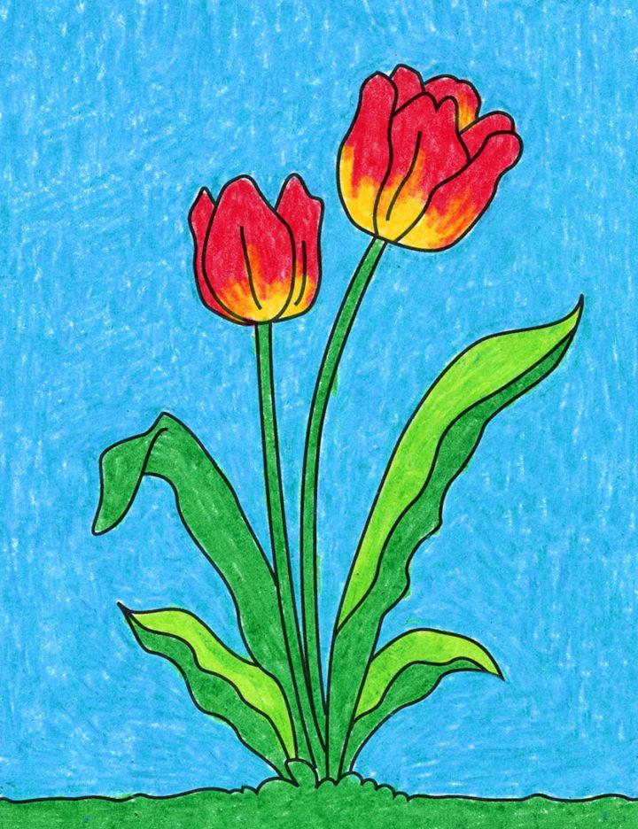 Easy Way to Draw a Tulip