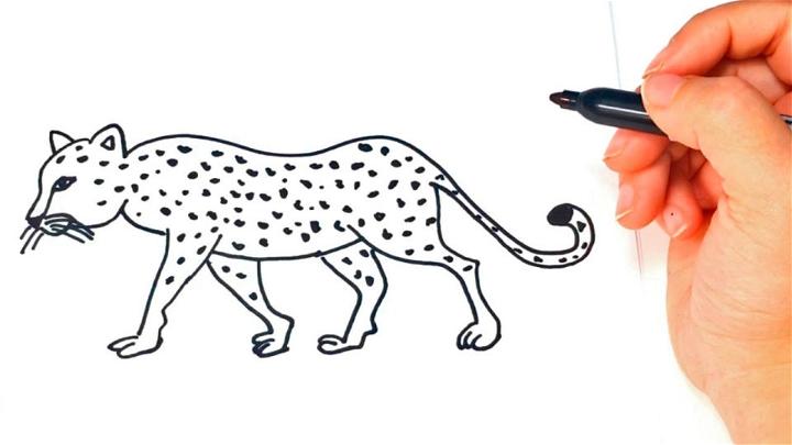 Easy to Draw Leopard