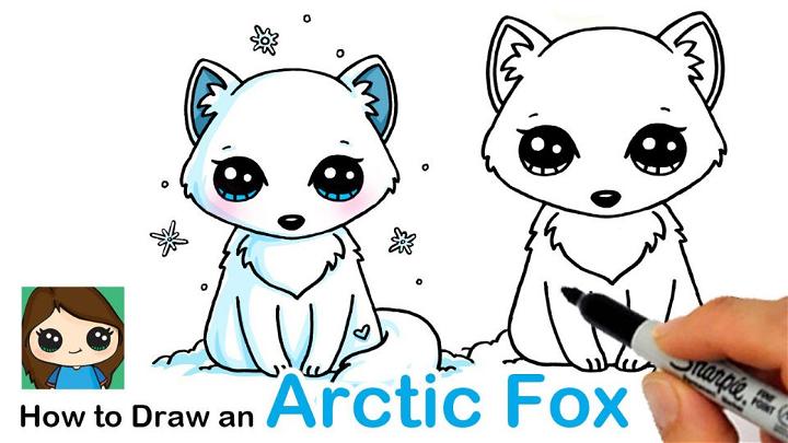 Easy to Draw an Arctic Fox