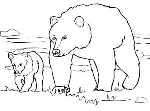 25 Free Bear Coloring Pages for Kids and Adults - Blitsy