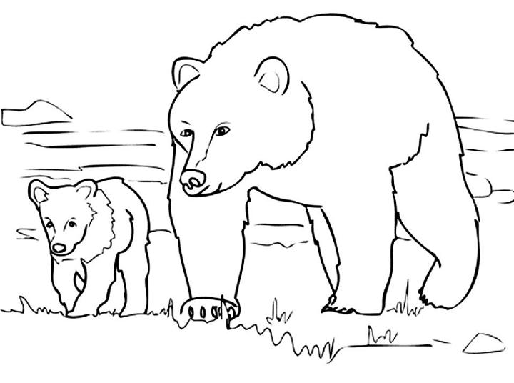 Free Bears Coloring Page to Print and Color