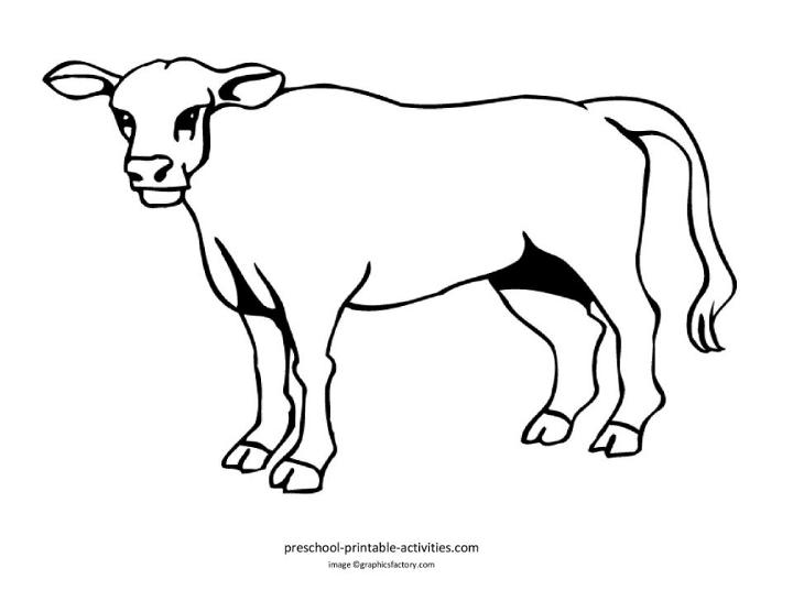 Free Cow Coloring Book Pages