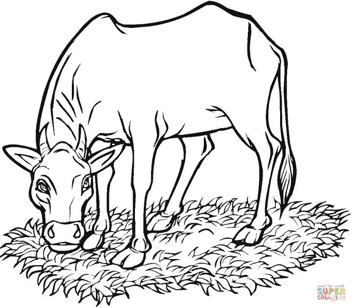 Free Cow Coloring Pages for Kids