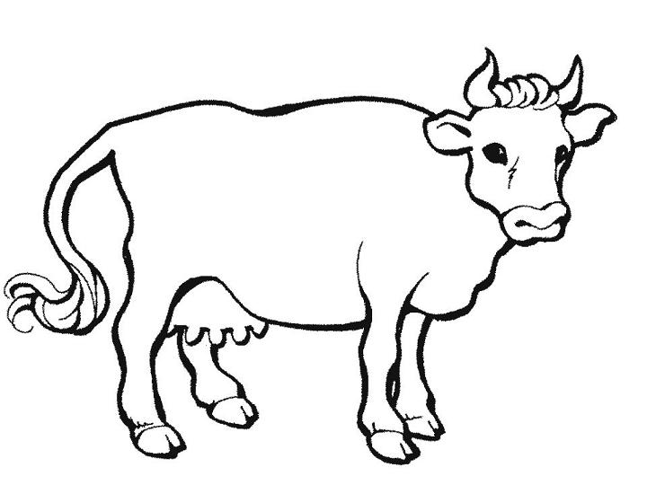 Free Cow Coloring Pages to Download