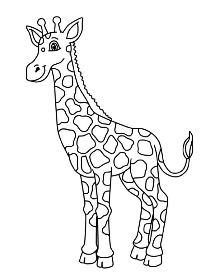 Free Giraffe Coloring Pages to Download