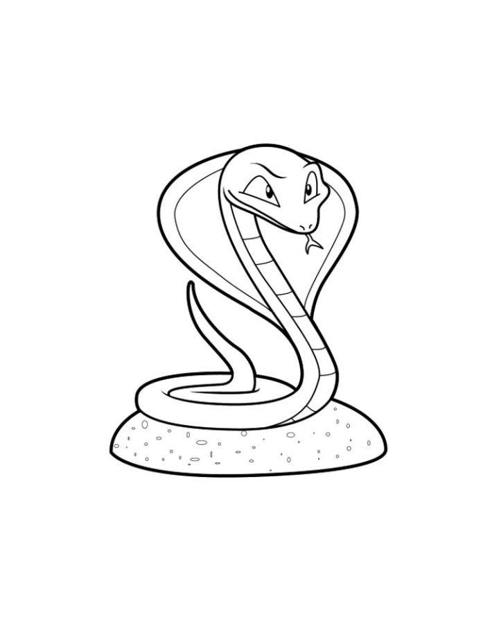 Free Kids' Snake Coloring Pages