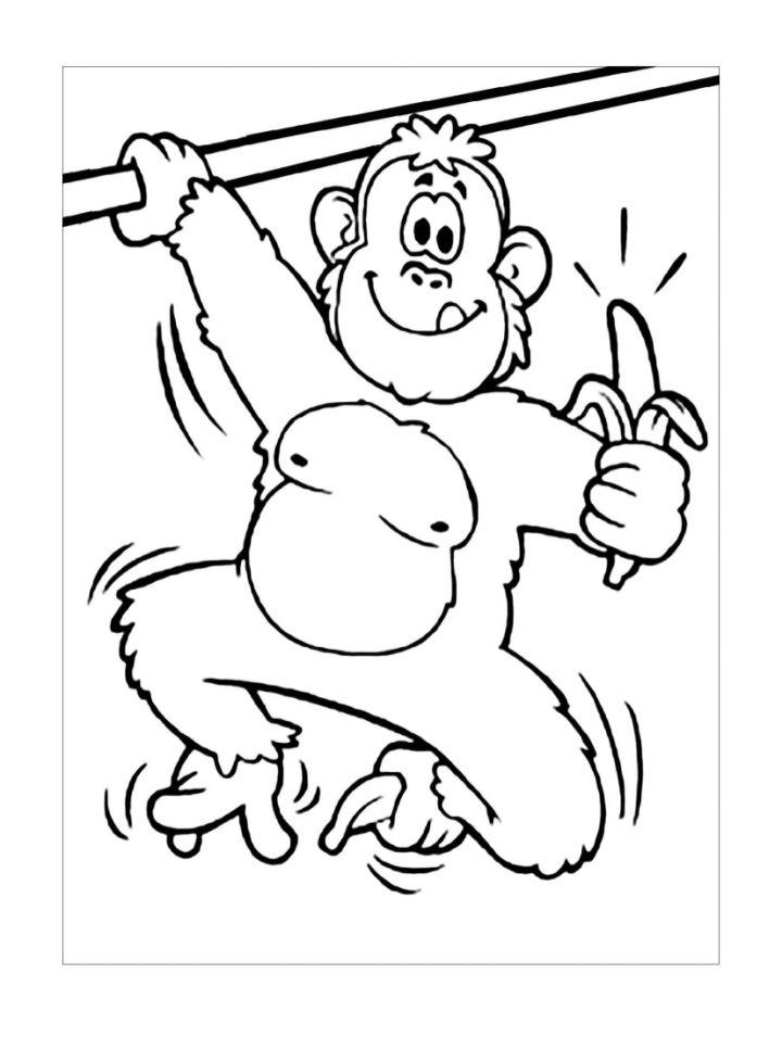 Coloring Pages of Monkey