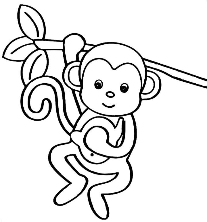 Free Monkey Coloring Pages for Children 