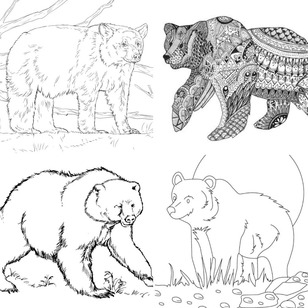 Big Coloring Pages Of Bears
