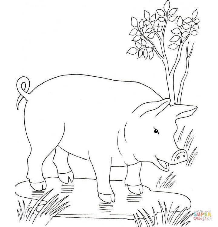 pig in mud coloring page