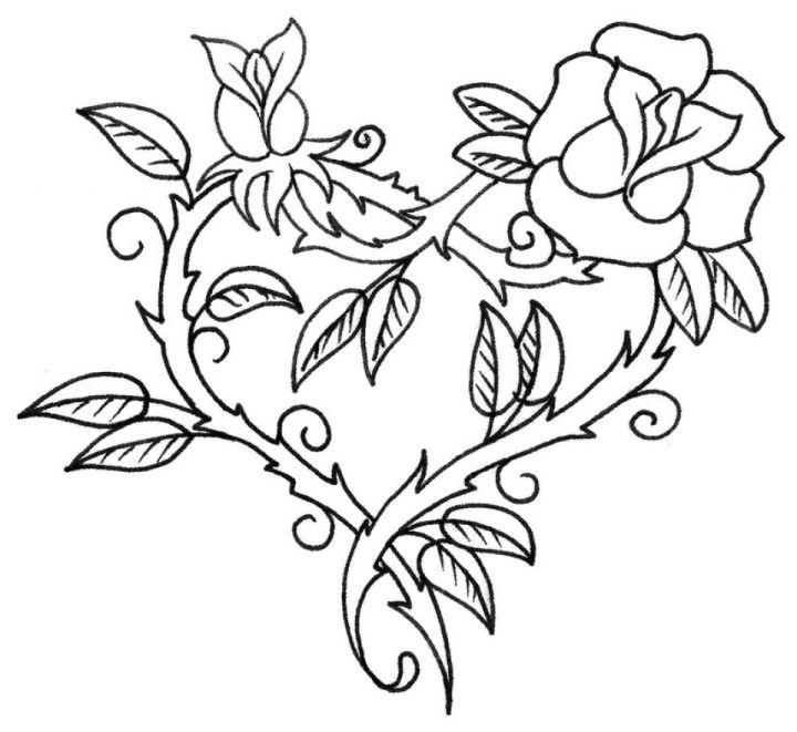 Rose Coloring Pages and Trace Pages 