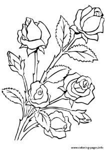 20 Free Rose Coloring Pages for Kids and Adults