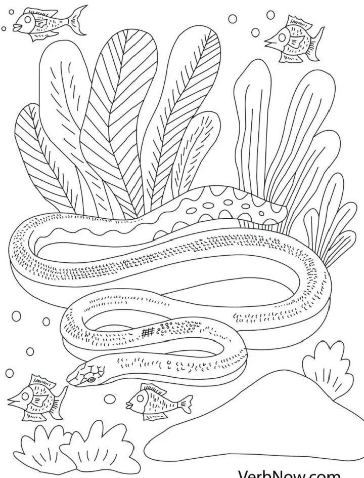 Free Snake Coloring Pages Printable
