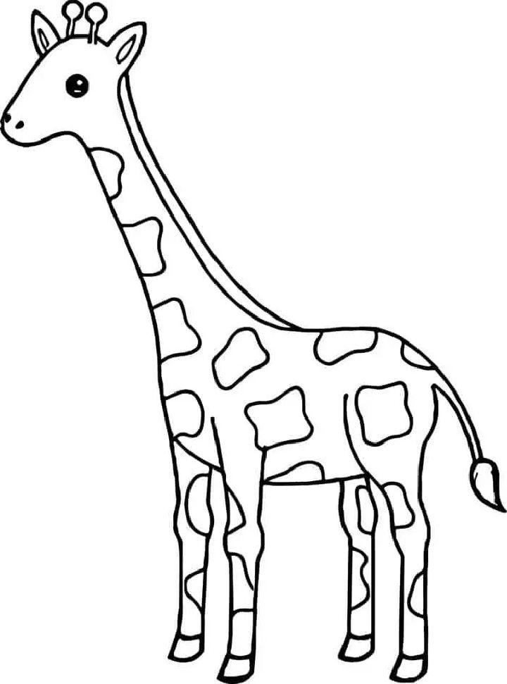 Giraffe Coloring Pages for Toddlers