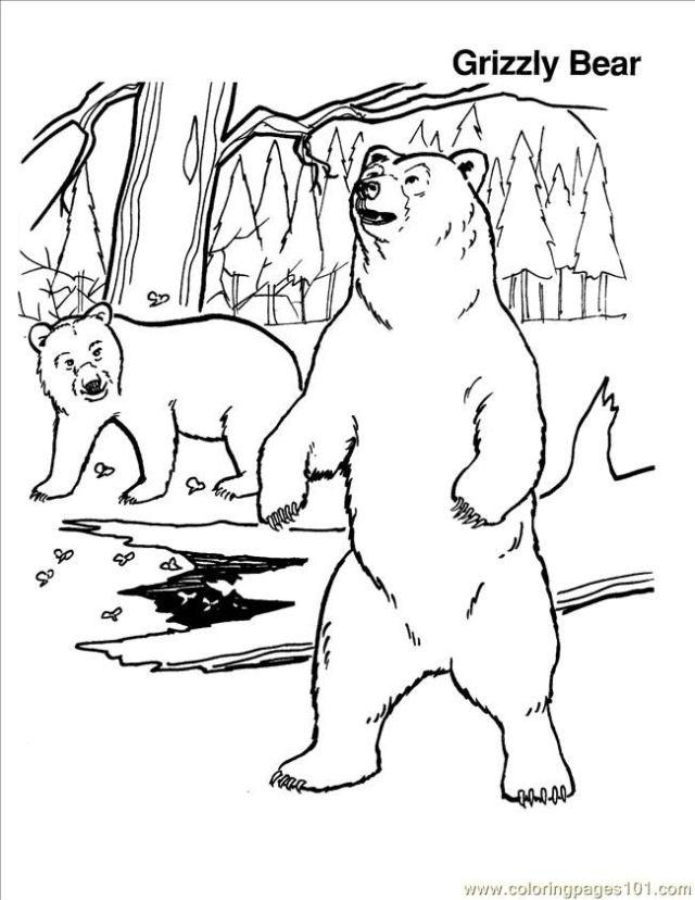 Grizzly Bear Coloring Sheets
