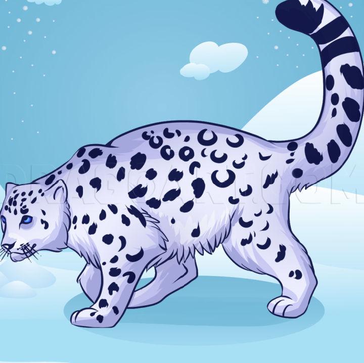 How Do You Draw Snow Leopard