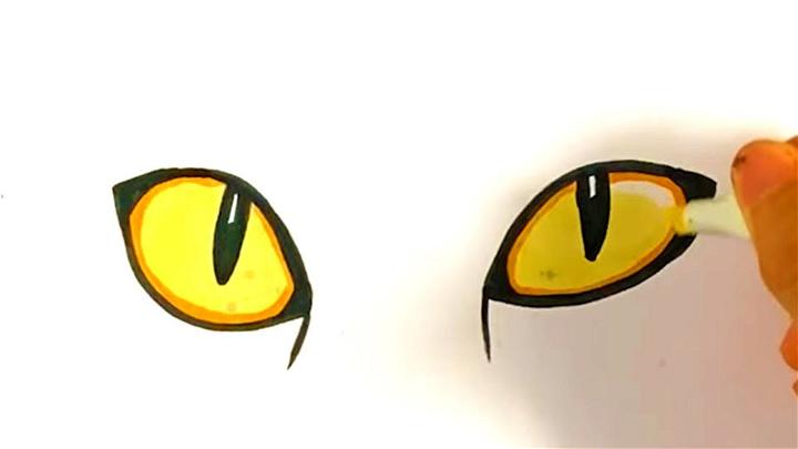 How Do You Draw a Cat Eyes