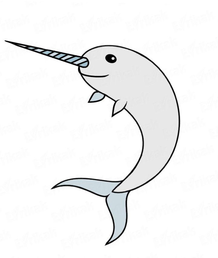 How Do You Draw a Narwhal