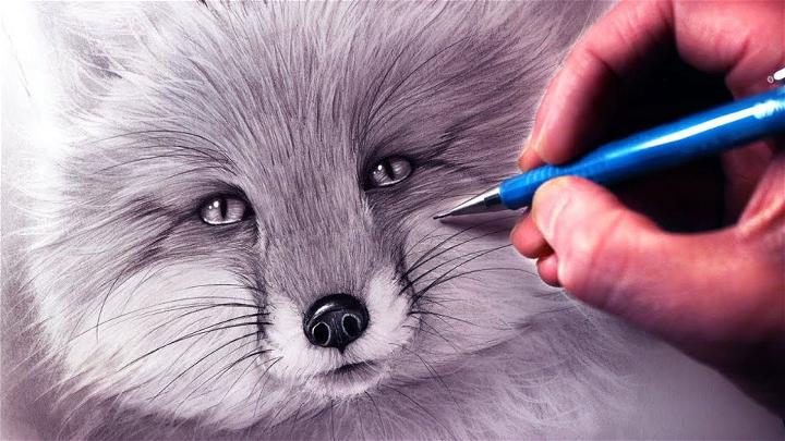 How To Draw A Fox