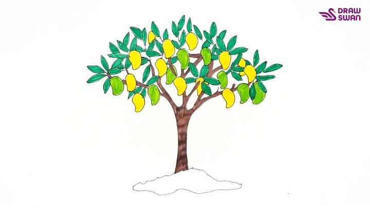 How To Draw A Mango Tree