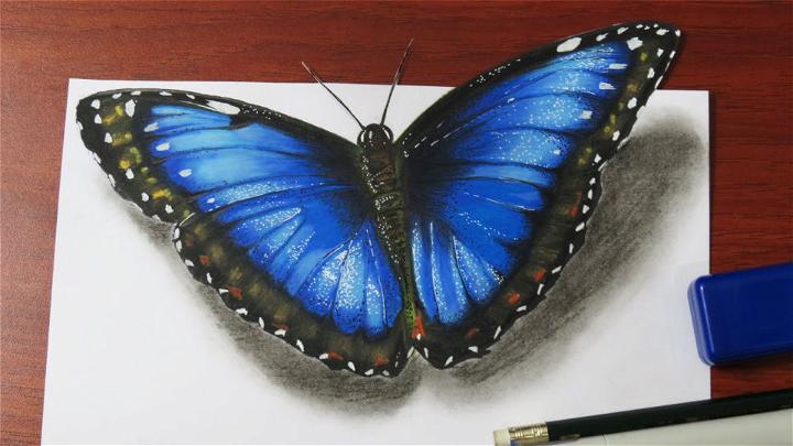 How To Draw A Realistic Butterfly Drawing