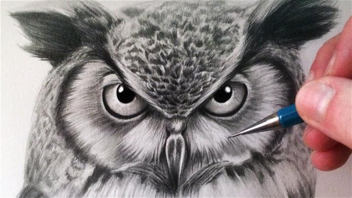 How To Draw Realistic An Owl