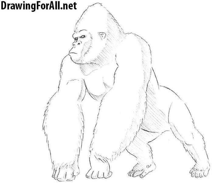 How to Draw King Kong