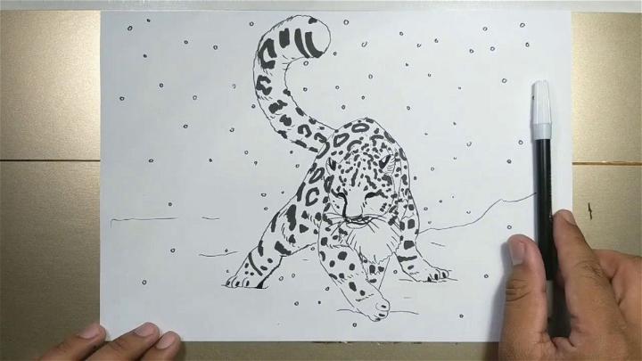 How To Draw A Snow Leopard Step by Step Drawing Guide by Dawn  DragoArt