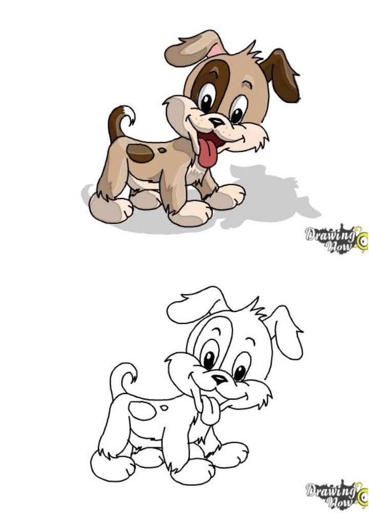 How to Draw a Cartoon Puppy