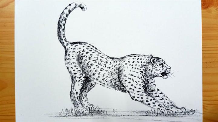 How to Draw a Leopard Step by Step