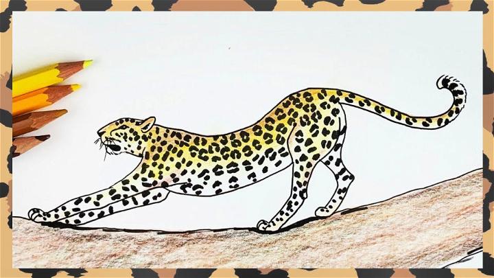 How to Draw a Leopard Stretching