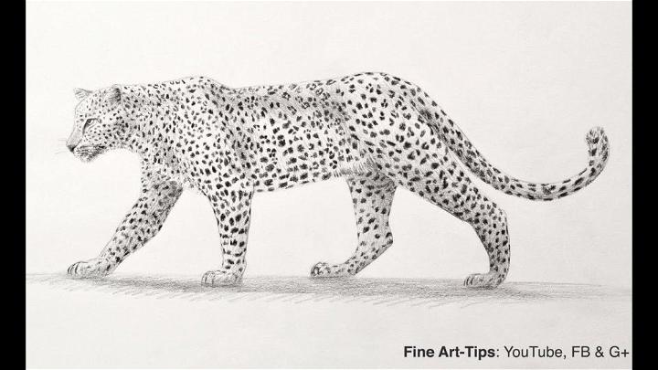 How to Draw a Leopard with Pencil