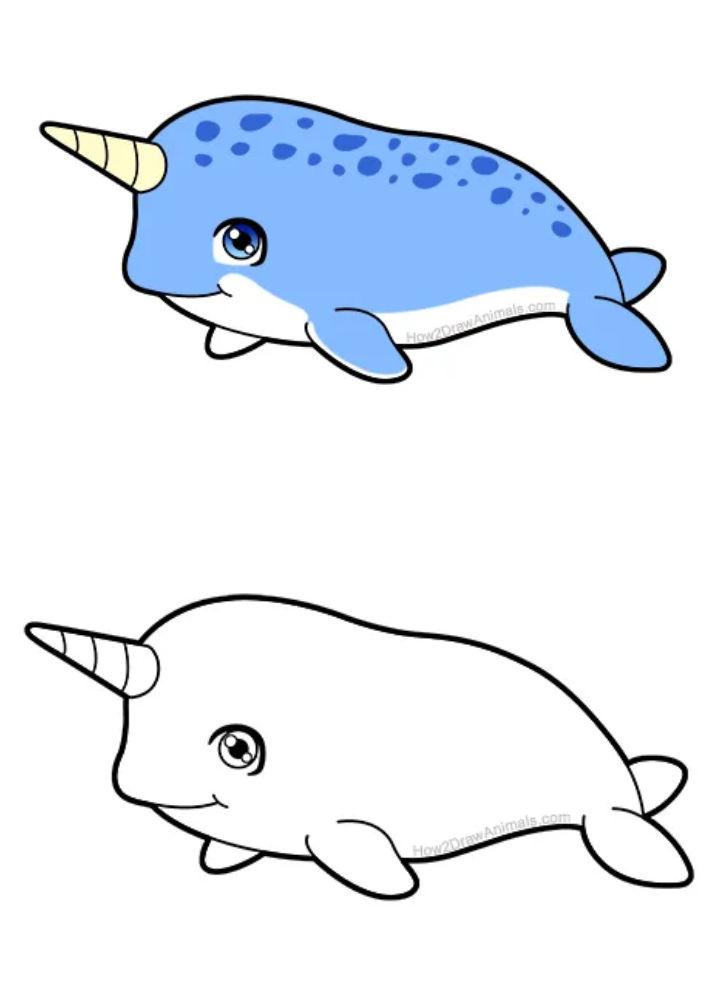 How to Draw a Narwhal