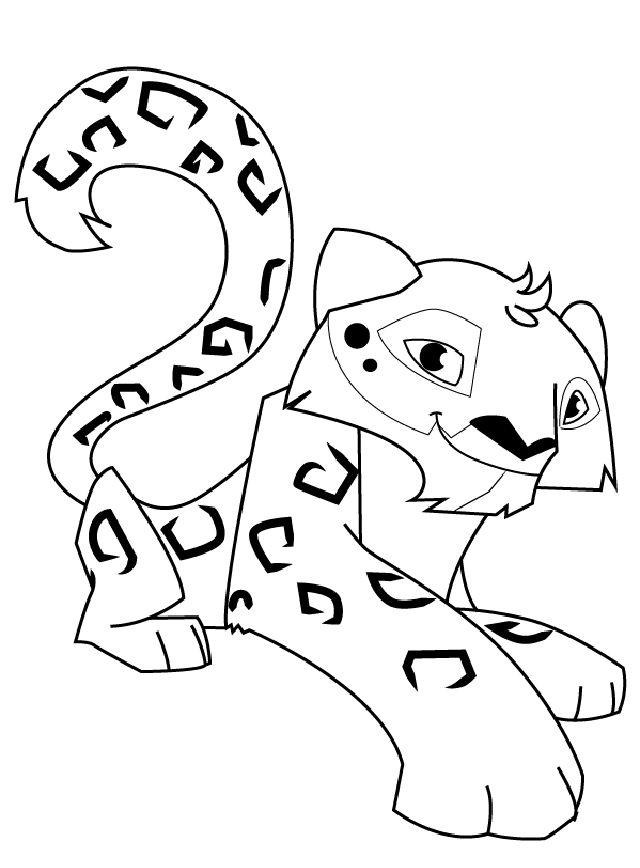 How to Draw a Snow Leopard