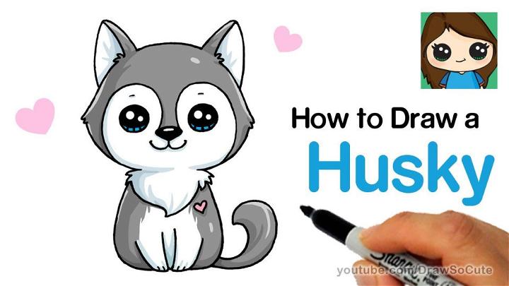 Husky Puppy Drawing