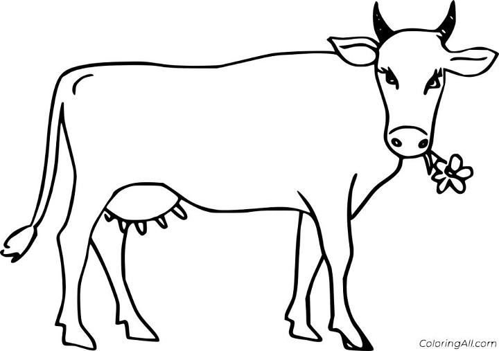 Kawaii Cow Coloring Pages