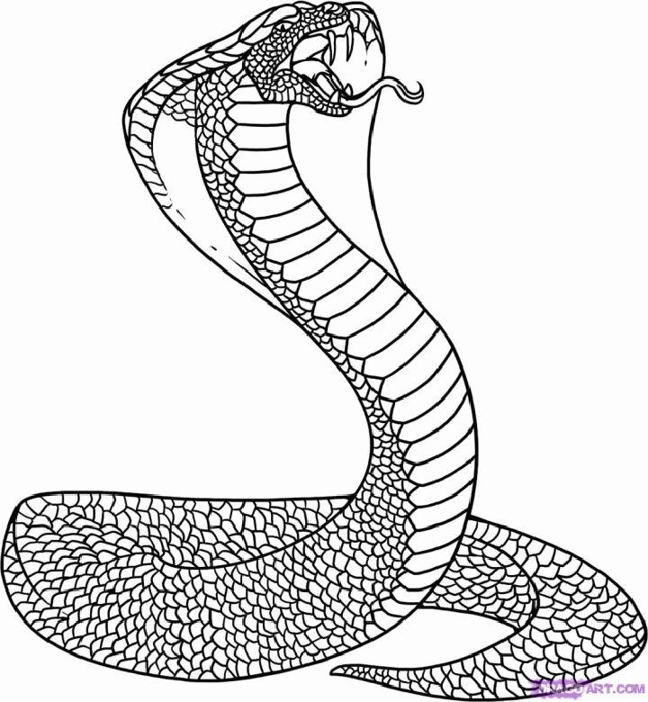 King Cobra Snake Coloring Sheets