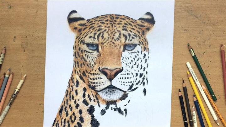Leopard Drawing in Colored Pencil