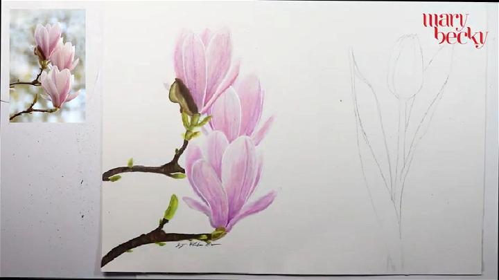 Magnolia Flower Drawing for Kids