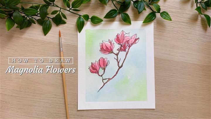 Magnolia Flower Picture to Draw