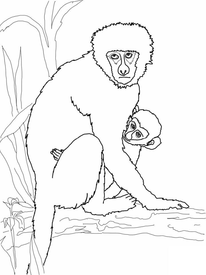 Monkey Coloring Pages for Toddlers