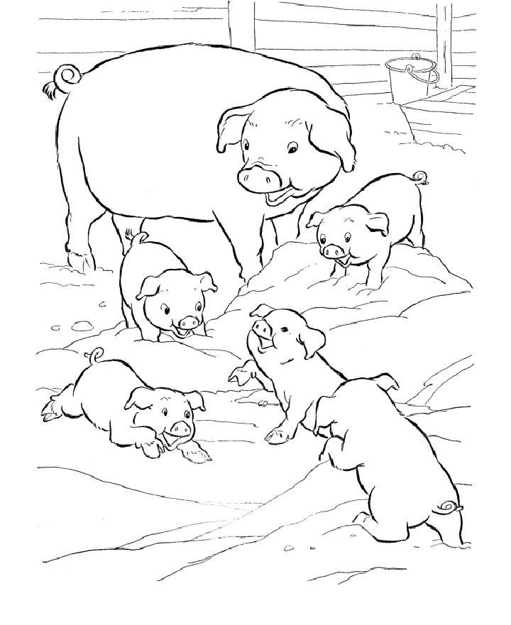 Pig Coloring Book Pages