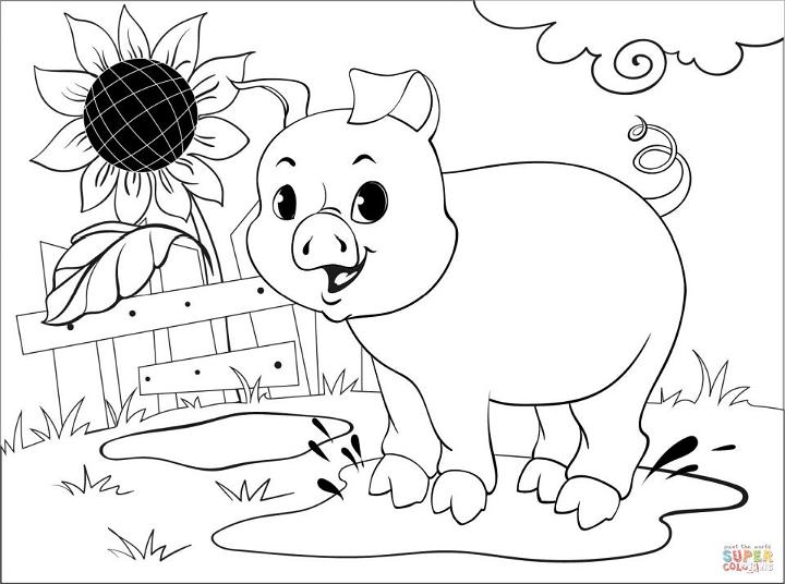 Pig Coloring Page for Little Ones