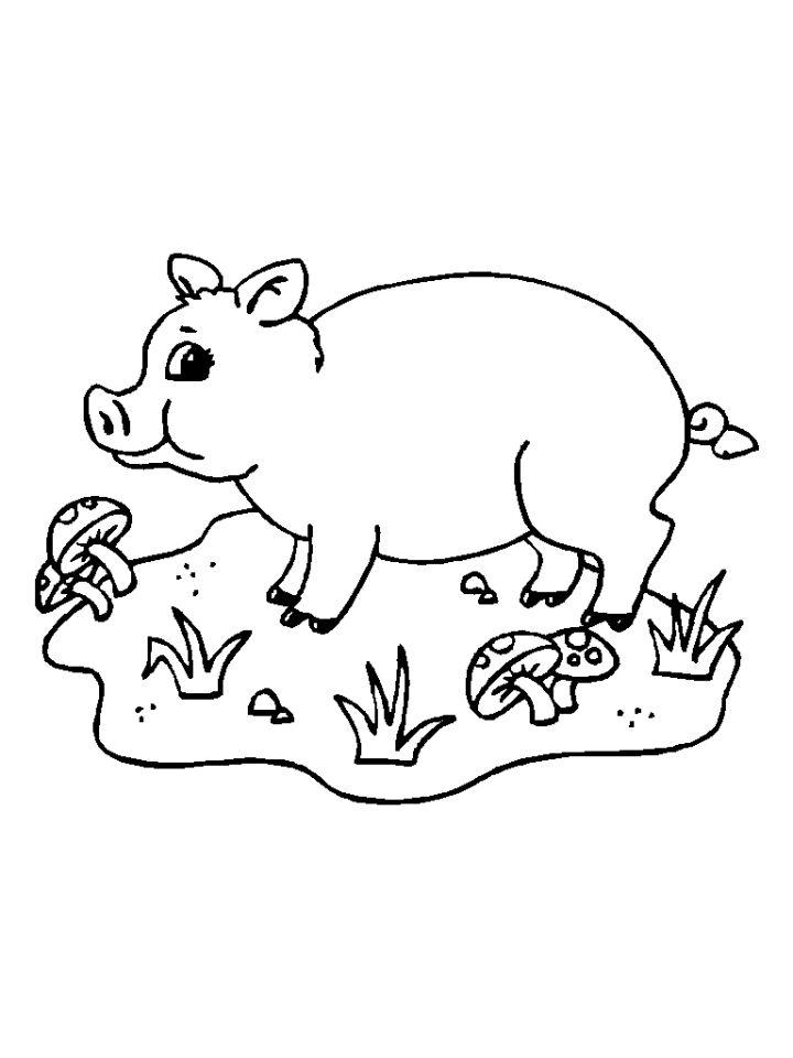 Pigs Coloring Pages and Activities